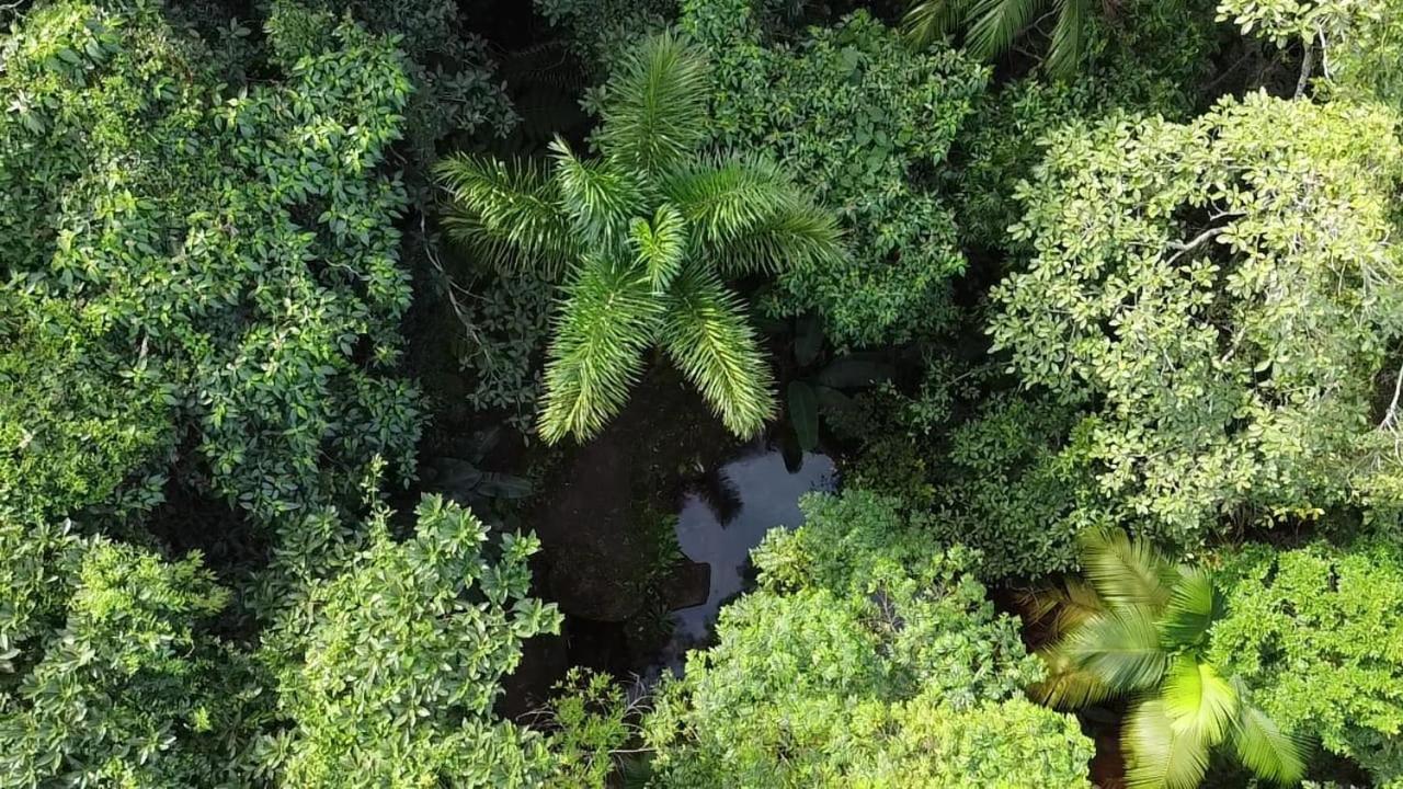 Espaco Indio Tupi Trindade  Eksteriør bilde